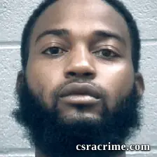 Avis Hampton booking photo