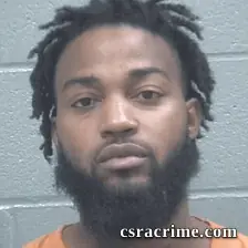 Avis Hampton booking photo
