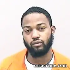 Avis Hampton booking photo
