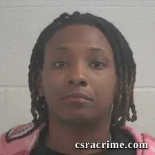 Ayanna Abdulahad booking photo