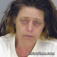 Barbara Amerson booking photo