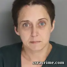 Barbara Fallaw booking photo