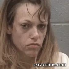 Barbara Jean Williams booking photo