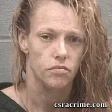 Barbara Jean Williams booking photo