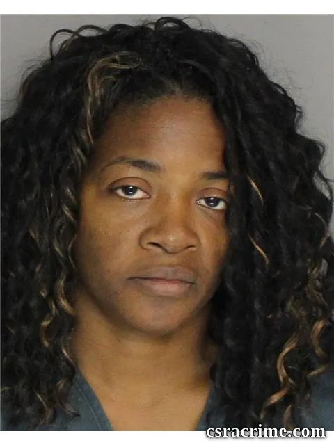 Basheenia Lee booking photo
