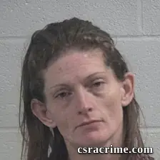 Becky Ellen Smith booking photo
