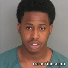 Belgen Sanders booking photo