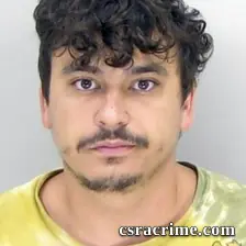 Benjamin Fields booking photo