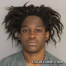 Bernadette Bash booking photo