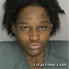 Bernadette Bash booking photo