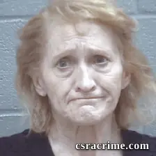 Beth Richardson booking photo