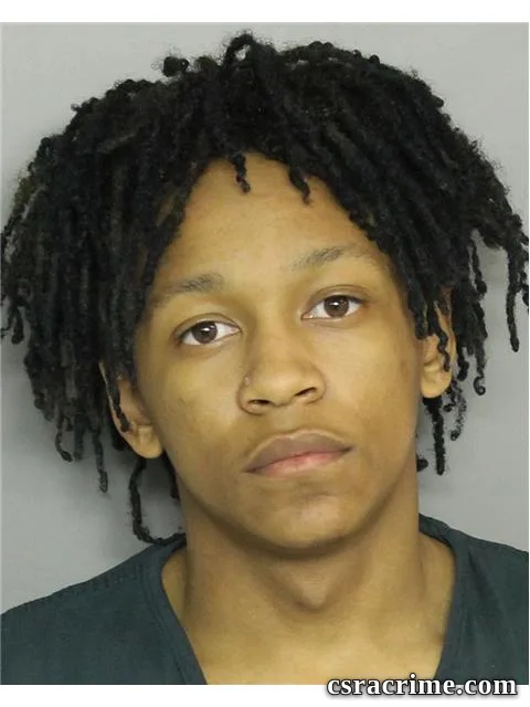 Bobby Brown booking photo