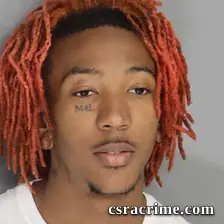 Brad Miller booking photo