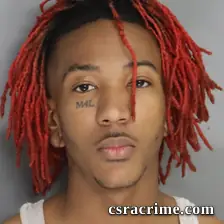 Brad Miller booking photo