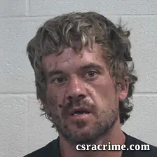 Brad Willis booking photo