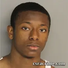 Braidy Lee booking photo