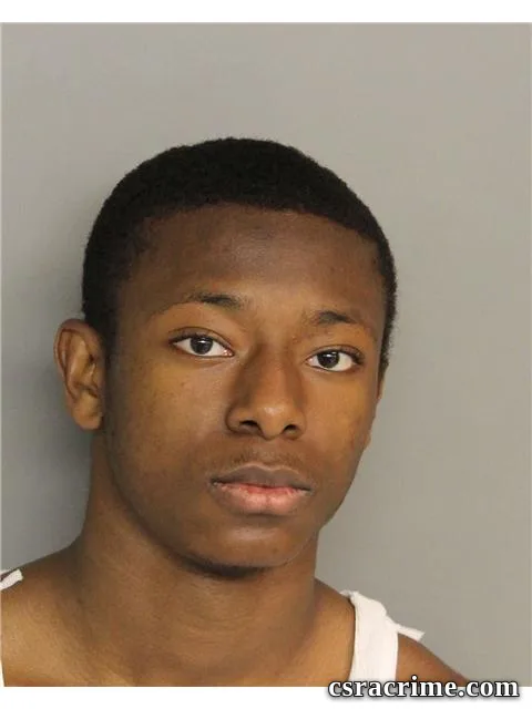 Braidy Lee booking photo