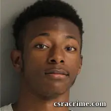 Braidy Lee booking photo