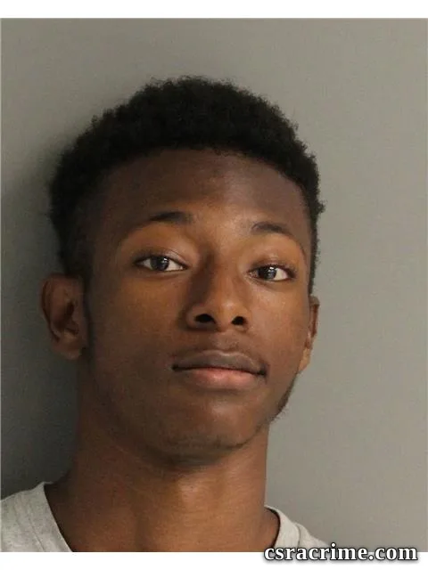 Braidy Lee booking photo
