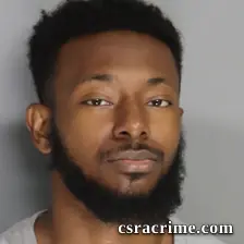 Braidy Lee booking photo