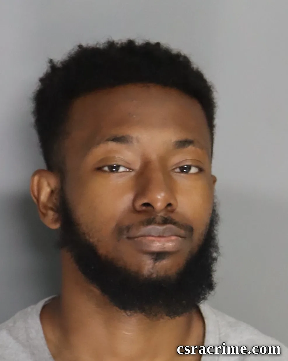 Braidy Lee booking photo