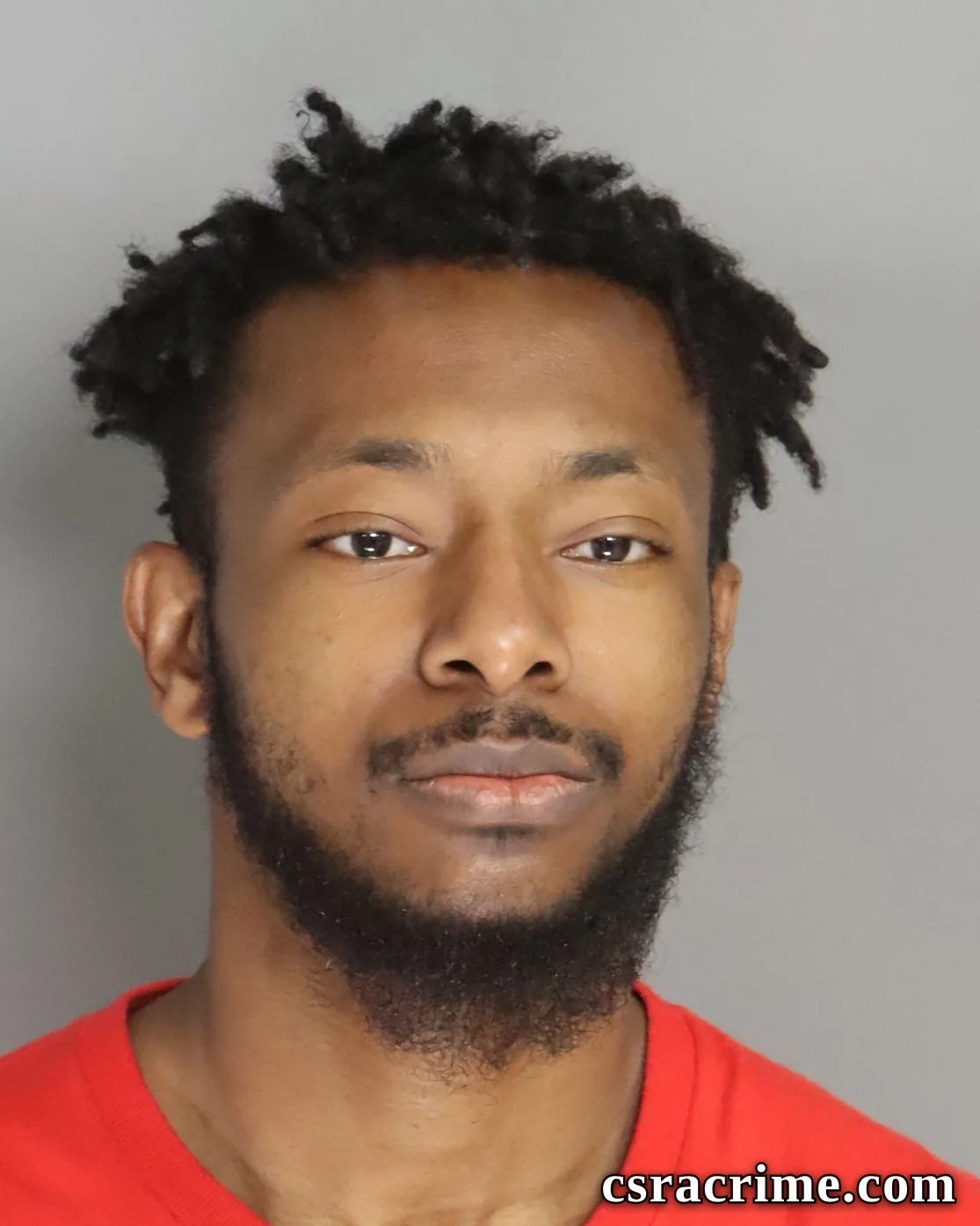 Braidy Lee booking photo