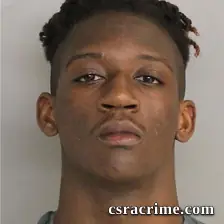 Brailyn Tyler booking photo