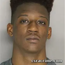 Brailyn Tyler booking photo