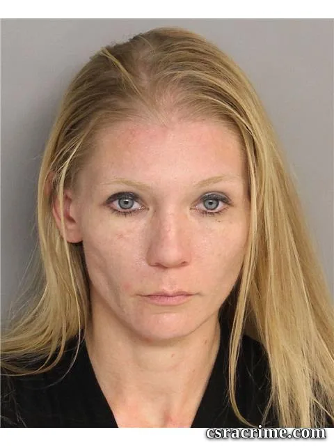 Brandi Doolittle booking photo