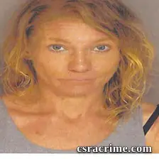Brandi Doolittle booking photo