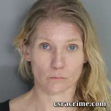 Brandi Doolittle booking photo