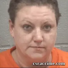 Brandi Elizabeth Lucas booking photo
