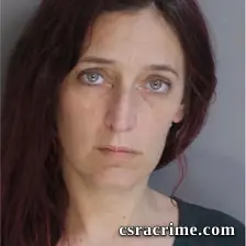Brandi Field booking photo