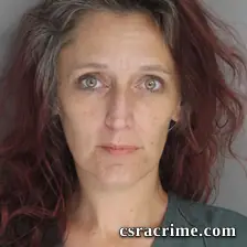 Brandi Field booking photo