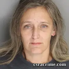 Brandi Field booking photo