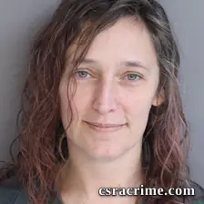 Brandi Field booking photo