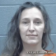 Brandi Field booking photo