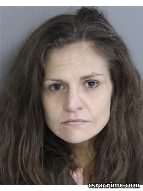 Brandi Holloway booking photo