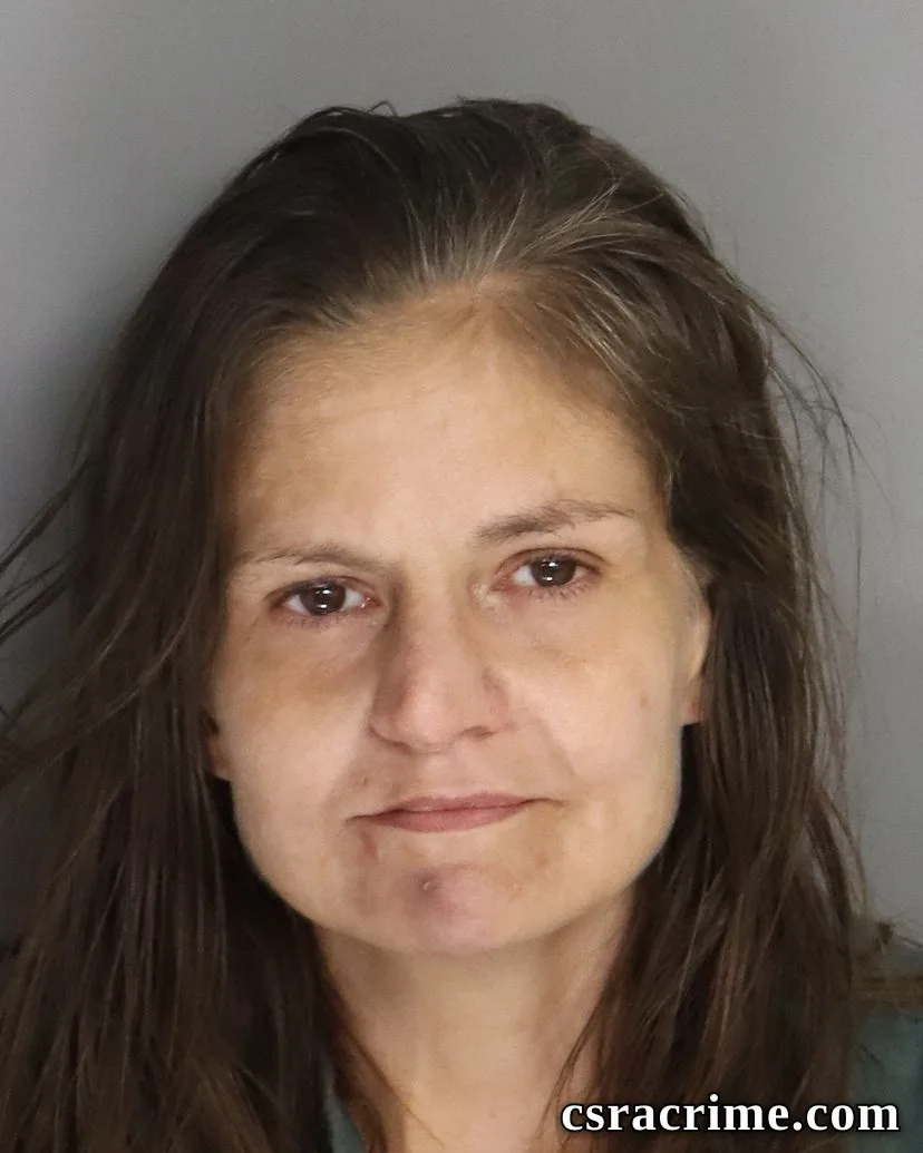 Brandi Holloway booking photo