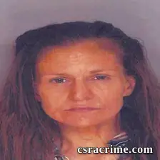 Brandi Hollway booking photo