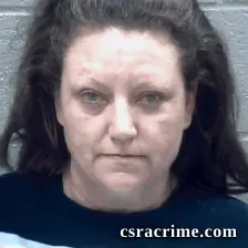 Brandi Lucas booking photo