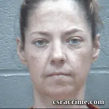 Brandi Mcgill booking photo
