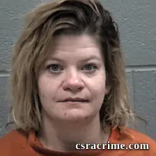 Brandi Michelle Wendt booking photo