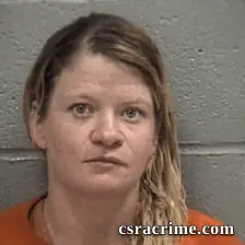 Brandi Michelle Wendt booking photo