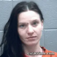 Brandie Wiggins booking photo