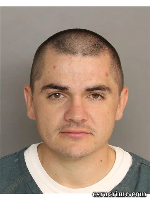 Brandon Adams booking photo