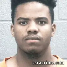 Brandon Brown booking photo
