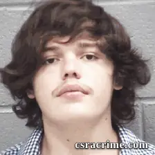 Brandon Clark II booking photo