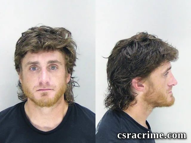 Brandon Collins booking photo