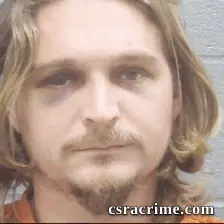 Brandon Deloach booking photo